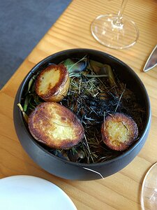 20180627_IMG133916397_MotoG4-JEB